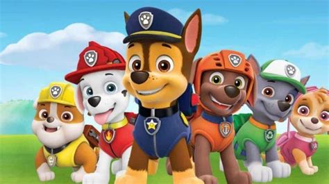 paw patrol cachorros